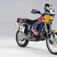 Red Bull, KTM 660 Adventure, Team