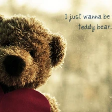 Heart, Plush, teddy bear, text