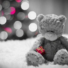 Present, Plush, teddy bear
