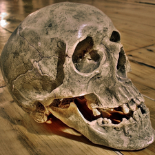 humanity, floor, Teeth, skull