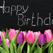 birthday, table, Tulips, text