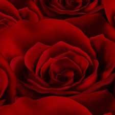 texture, Red, roses