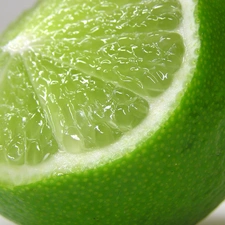 the cut, lime