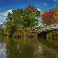 Manhattan, New York, Central Park, Eldorado Building, bridge, The United States, viewes, lake, trees