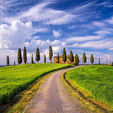 The Hills, Way, clouds, house, grass, Tuscany, Italy, cypresses