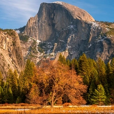 Yosemite National Park, autumn, viewes, Mountains, trees, California, The United States, Half Dome Peak