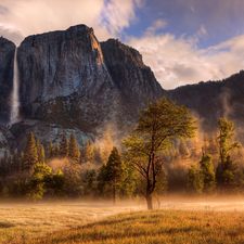 Yosemite National Park, rocks, Fog, trees, Mountains, State of California, The United States, viewes