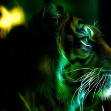 Fractalius, tiger