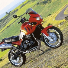 Triumph Tiger 955i