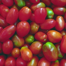 red, Longitudinal, tomatoes, green ones