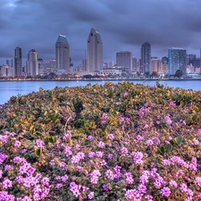 Flowers, San Diego, Town