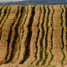 traces, Field, kneaded