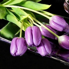 Tray, glass, Tulips, Toyota Silver, purple