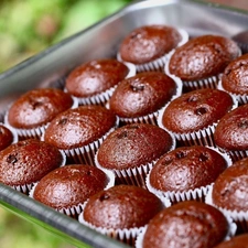 Muffins, Tray