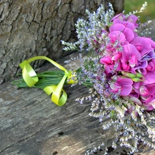 trees, board, bouquet, trunk, Sweet Peas