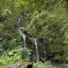 trees, Bush, Mountains, Rocks, waterfall