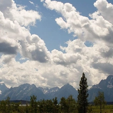 green ones, White, viewes, clouds, Sky, trees, Plants