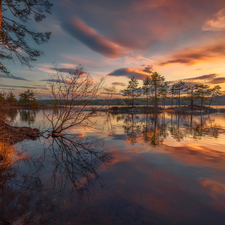 trees, viewes, Norway, Sunrise, Ringerike Municipality, Islet, lake, clouds