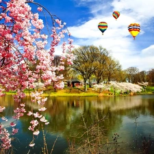 lake, flourishing, trees, Balloons