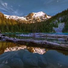 lake, Stems, trees, Mountains