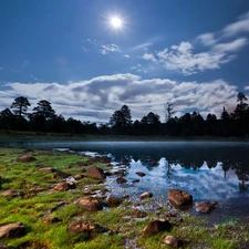 Stones, River, trees, viewes, flash, luminosity, ligh, sun, Przebijaj?ce