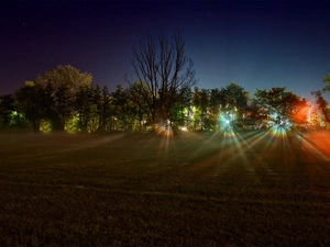 sun, west, trees, viewes, flash, luminosity, ligh, sun, Przebijające