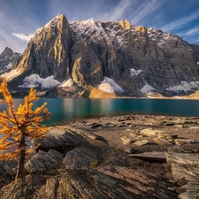 trees, Lake Moraine, Alberta, Canada, Banff National Park, Mountains