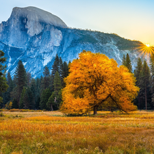 Yosemite National Park, autumn, Mountains, trees, State of California, The United States, forest, rays of the Sun, viewes