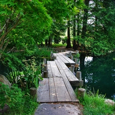 trees, viewes, Pond - car, footbridge, Garden