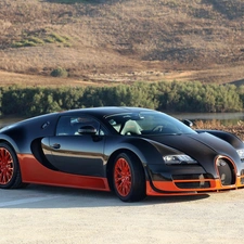 viewes, slope, River, trees, Bugatti Veyron Super Sport