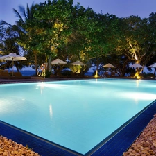 trees, Hotel hall, sea, Maldives, viewes, Pool