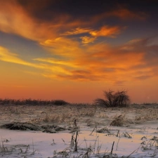 Sky, snow, trees, clouds