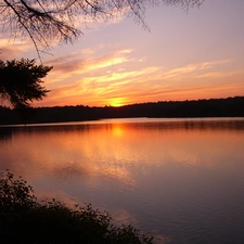 Great Sunsets, lake, trees