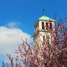 tower, flourishing, trees, Church