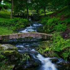 fern, Park, trees, viewes, bridges, brook