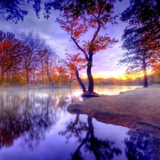 Park, autumn, trees, viewes, color, River