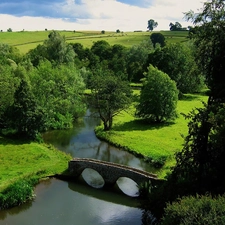 trees, viewes, River, bridge, field