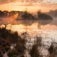 sun, lake, trees, viewes, Fog, west