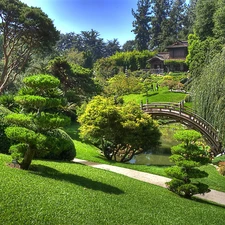 trees, viewes, japanese, bridges, Garden