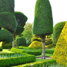 trees, viewes, beatyfull, ornamental, Garden