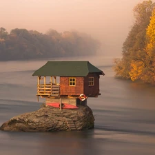 trees, viewes, an, lake, Home