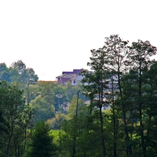 trees, viewes, an, hill, Houses