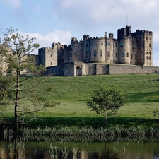 grass, Castle, trees, viewes, Meadow, brook