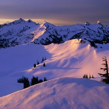 trees, viewes, Covered, snow, Mountains