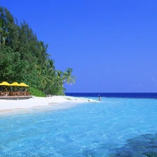 trees, viewes, Beaches, green ones, sea