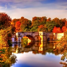 trees, viewes, bridges, color, River