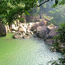 trees, viewes, container, water, rocks