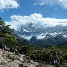 clouds, Mountains, trees, viewes, Stones, White