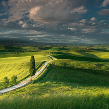 field, Italy, trees, viewes, Way, Tuscany