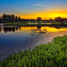 trees, viewes, sun, lake, west